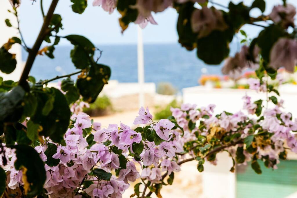 Lumi Pet And Planet Friendly * Polignano a Mare