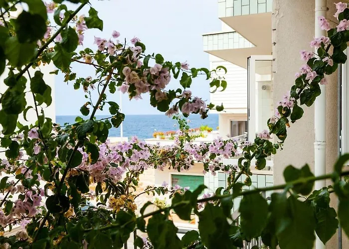 Lumi B&B Pet And Planet Friendly