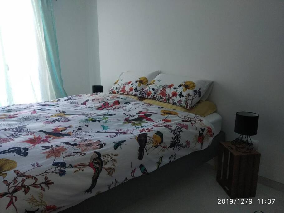 Lumi Pet And Planet Friendly * Polignano a Mare